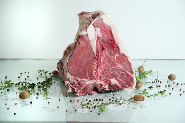 FIORENTINA DI MANZO