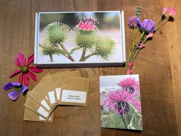 Kado-doosje inheems vaste planten