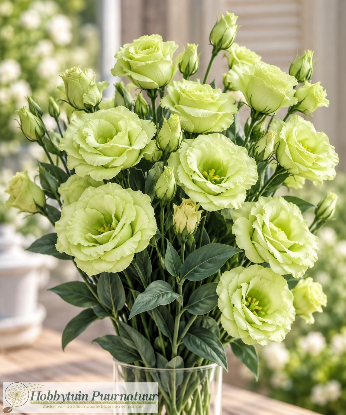 Lisianthus Lime Green - Lisianthus grandiflorum Mariachi Lime Green 10 zaden