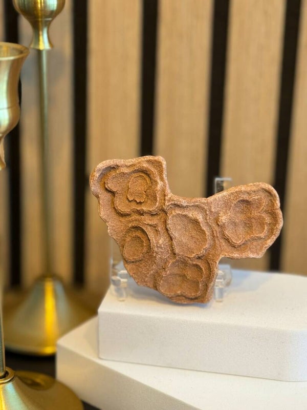 Stromatoliet (Fossiel)