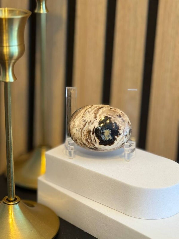 Versteend Hout (Set)