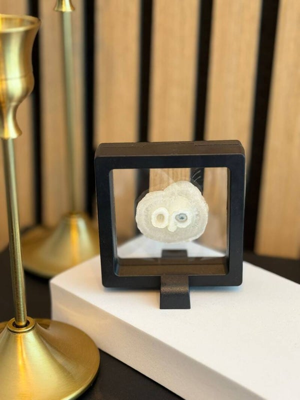 Amethist Roos in houder