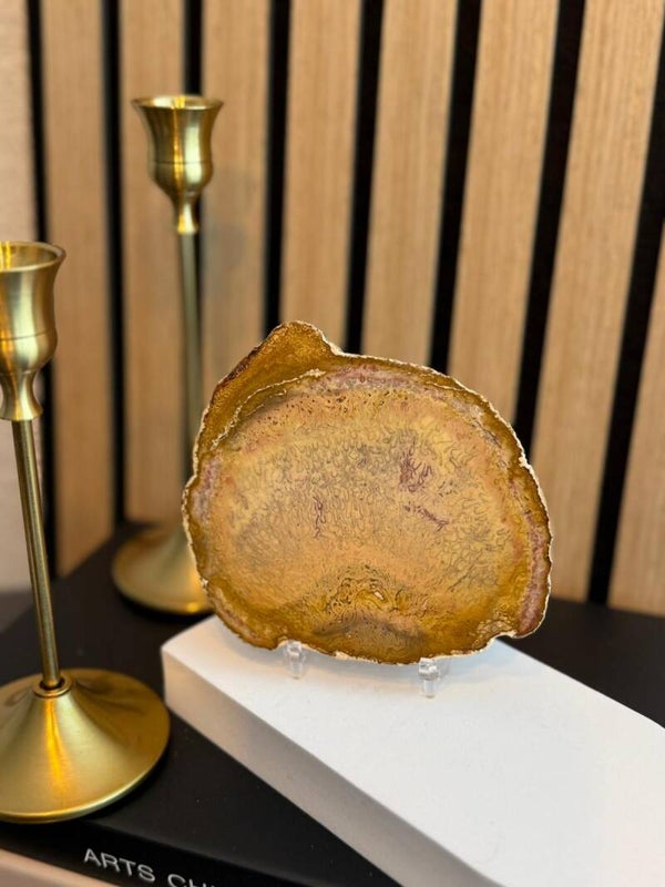 Versteend Hout schijf