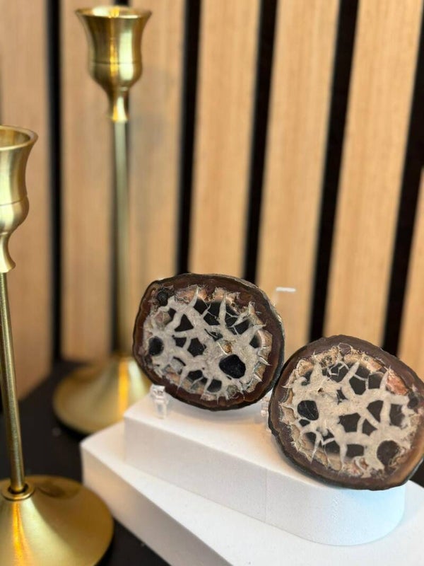 Septarie Geode