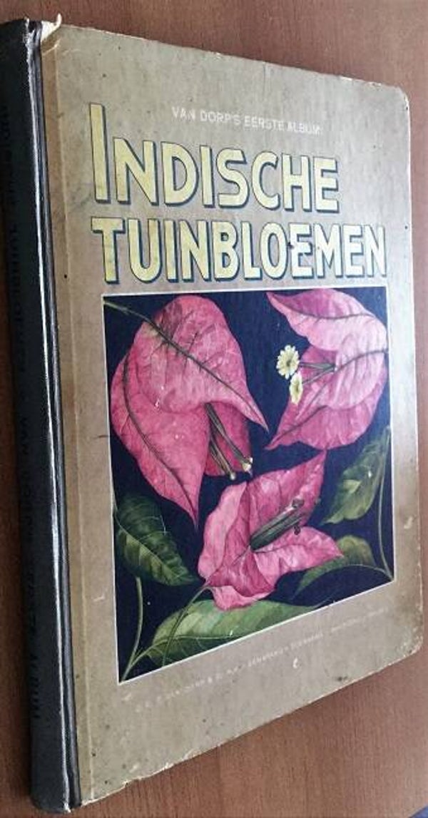 Bruggeman, M.L.A. - Indische tuinbloemen: bewerkt naar het Indisch tuinboek