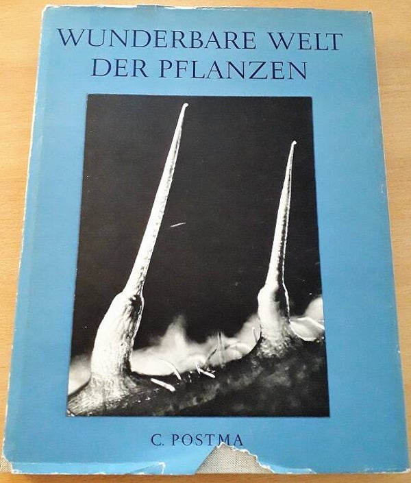 Postma, C. - Wunderbare Welt der Pflanzen