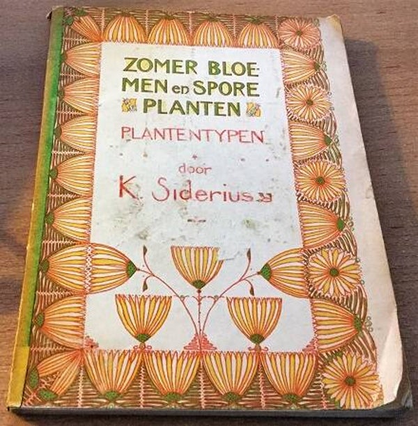 Siderius, K. - Plantentypen IV: Zomerbloemen en Sporeplanten