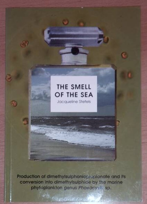 Stefels, Jacqueline - The smell of the sea