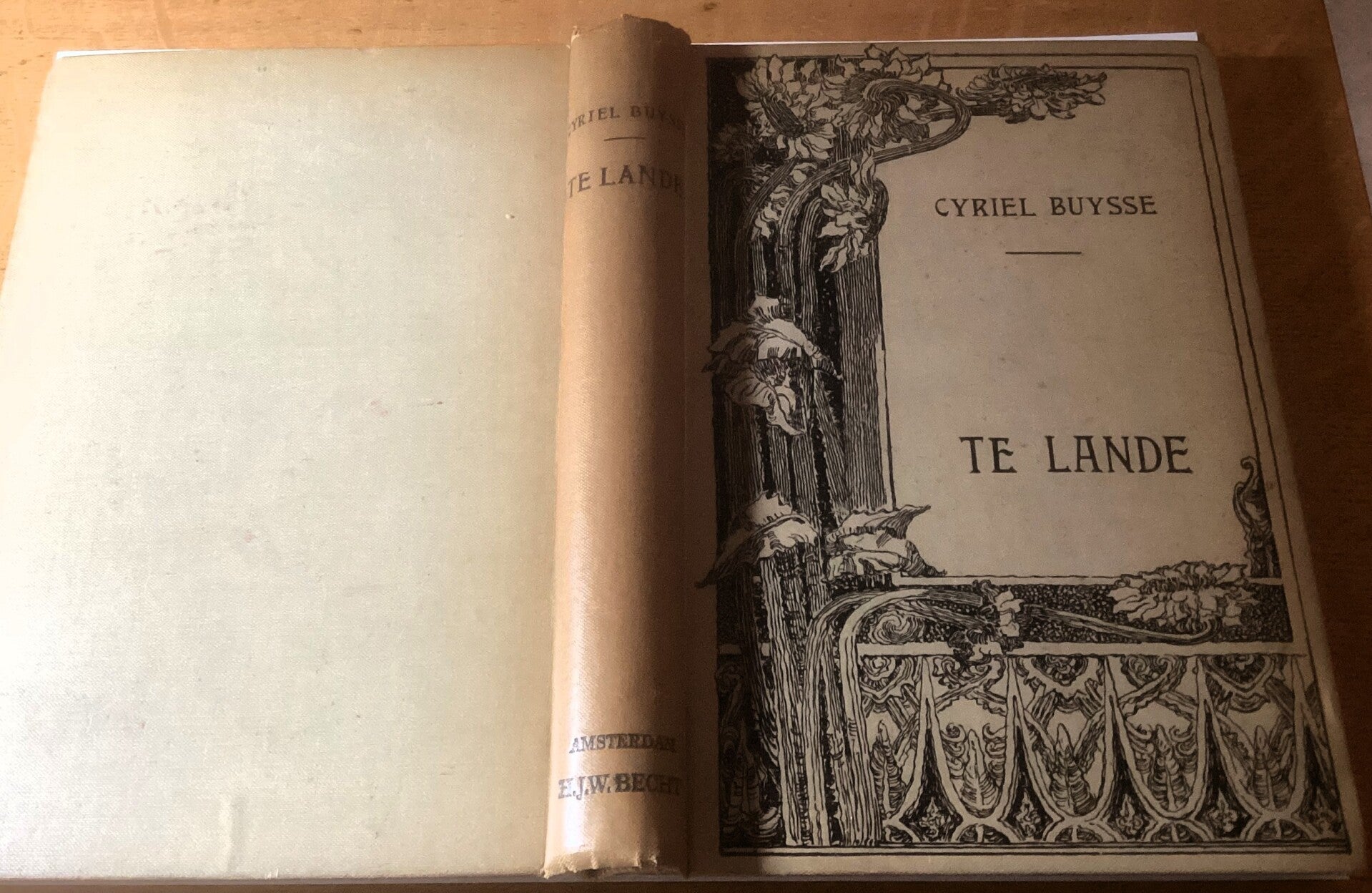 Buysse, Cyriel - Te Lande