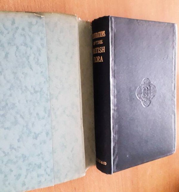 Fitch, W.H. - Illustrations of the British flora