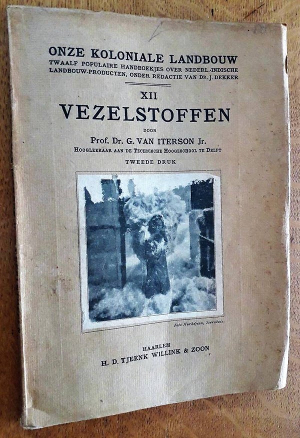 Iterson Jr, G. van - Vezelstoffen