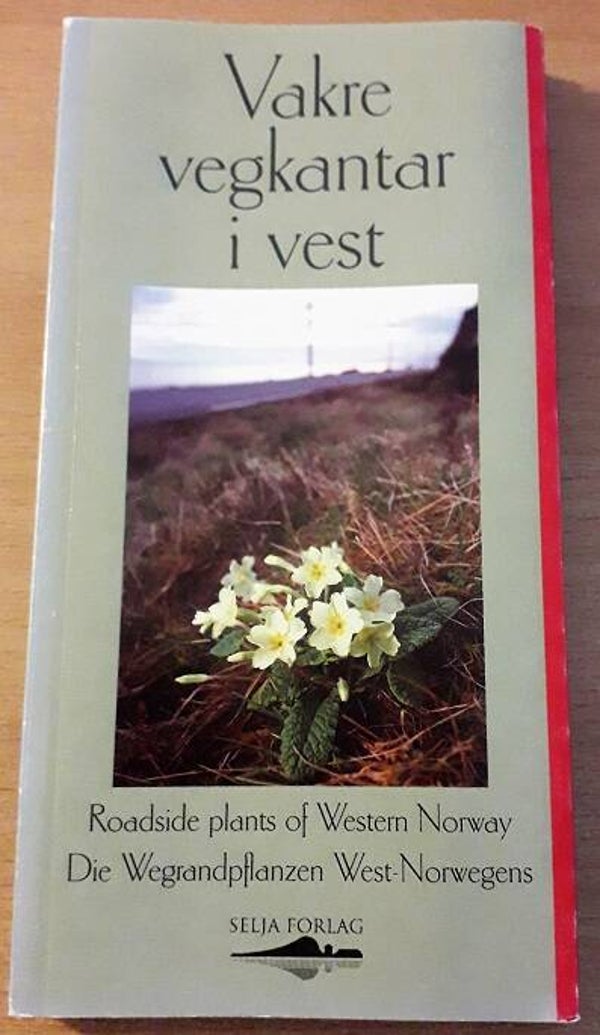 Auestad, Inger  et al - Vakre vegkantar i vest
