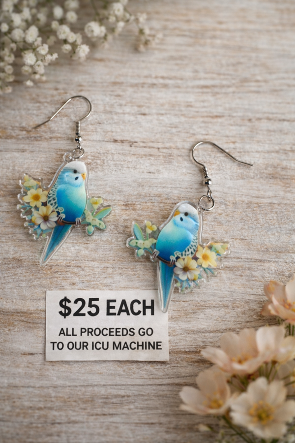Parrot earrings