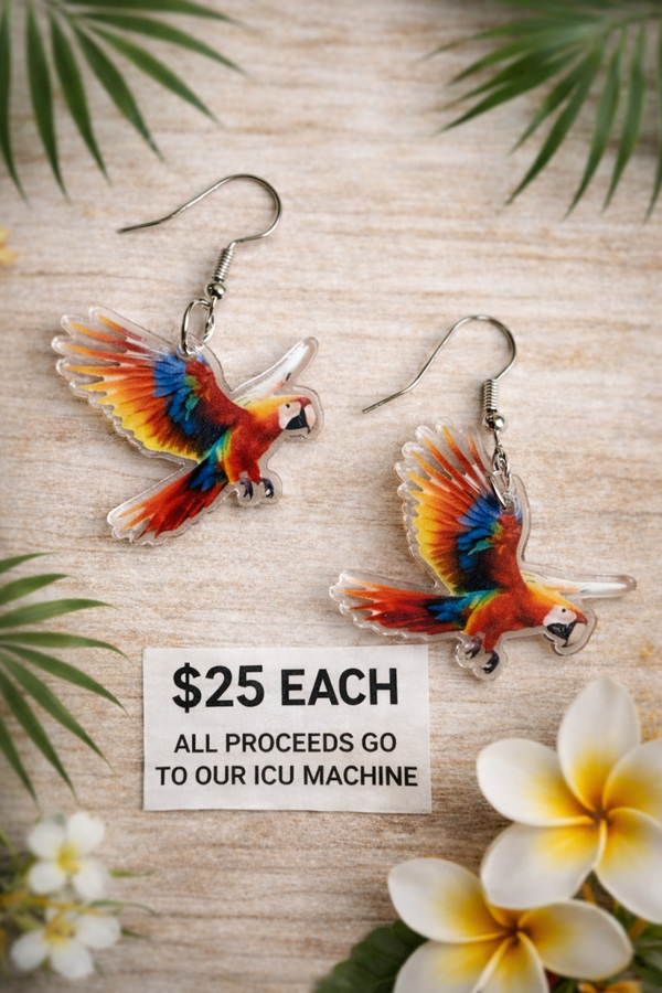 Parrot earrings