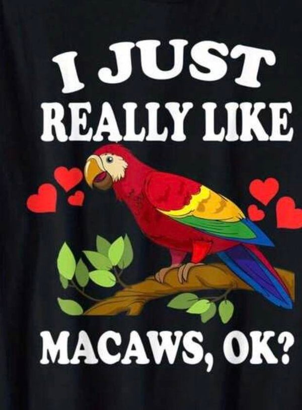 Parrot Shirts
