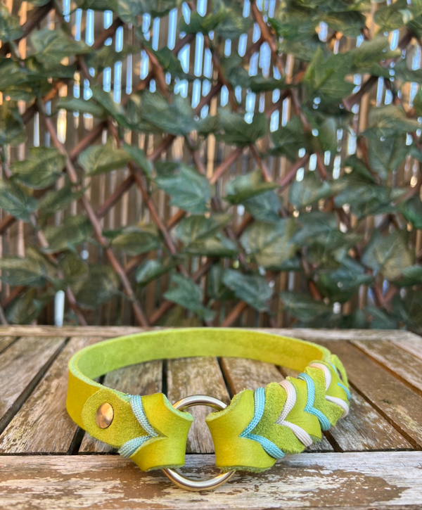 ID halsband van vetleer - Colour Twist