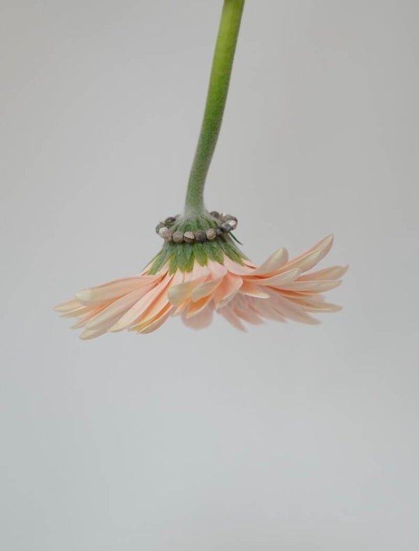 Ring Lise