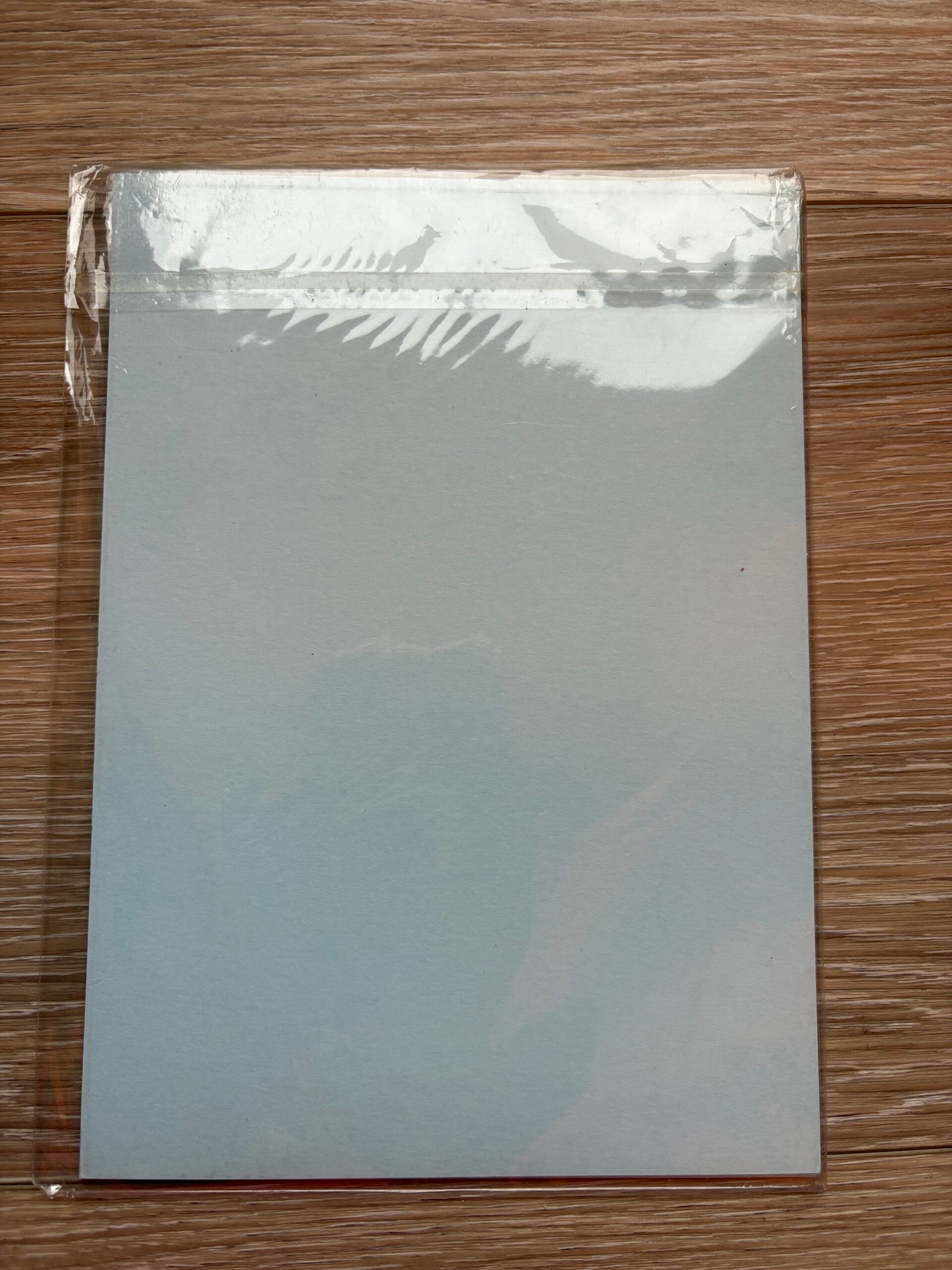 Hobby karton 10 vel groter