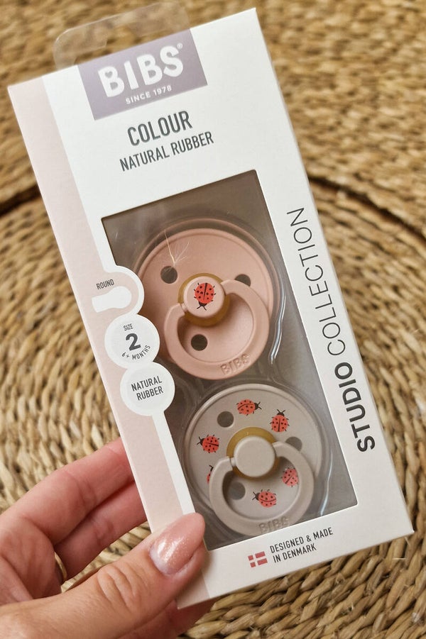 Bibs Spenen 6+ Rond - Lieveheersbeestjes - Roze/Grijs