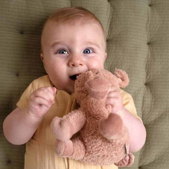 Little Dutch - Little Farm - Knuffel Varken 17cm