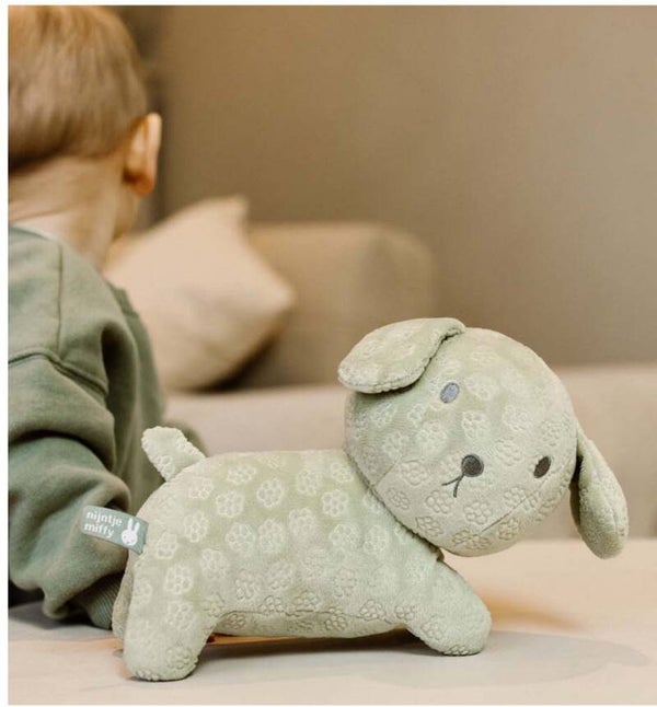Nijntje - Green Flower - Snuffie