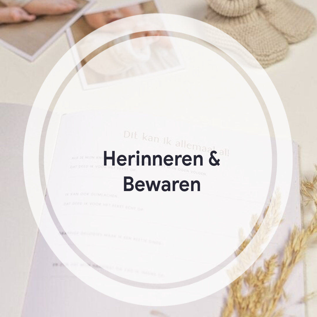 boeken de kleine olifant