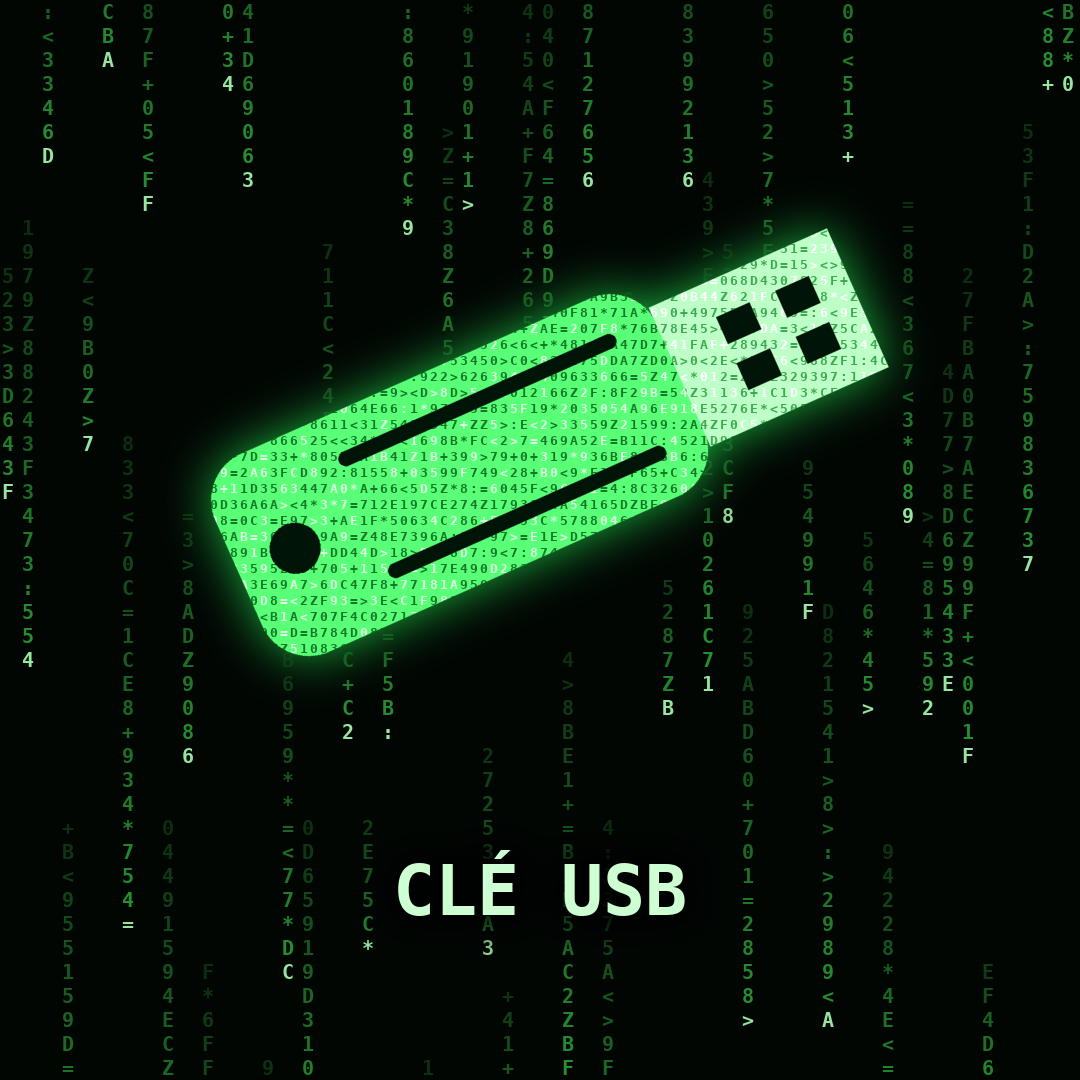 Option Clé USB