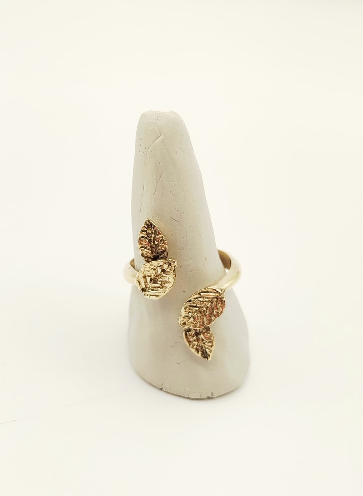 DAFNE Ring 02