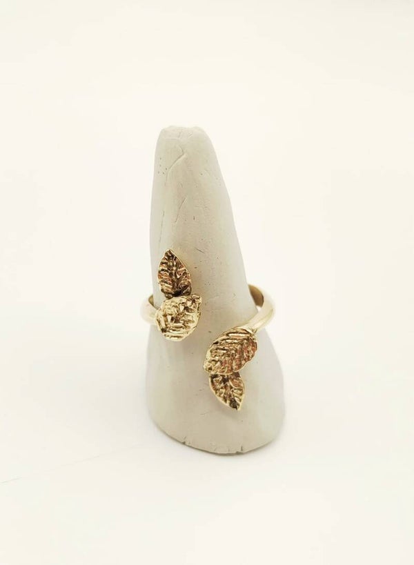 DAFNE Ring 02