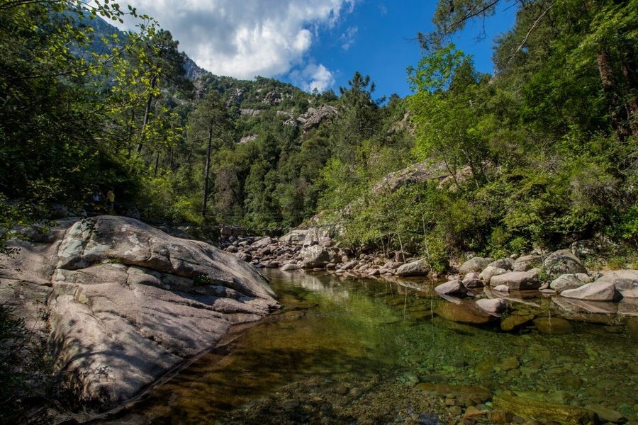 El Bosque de Bonifatu, ubicado en la región de Balagne, cerca de Calvi, es un paraíso natural en Córcega.