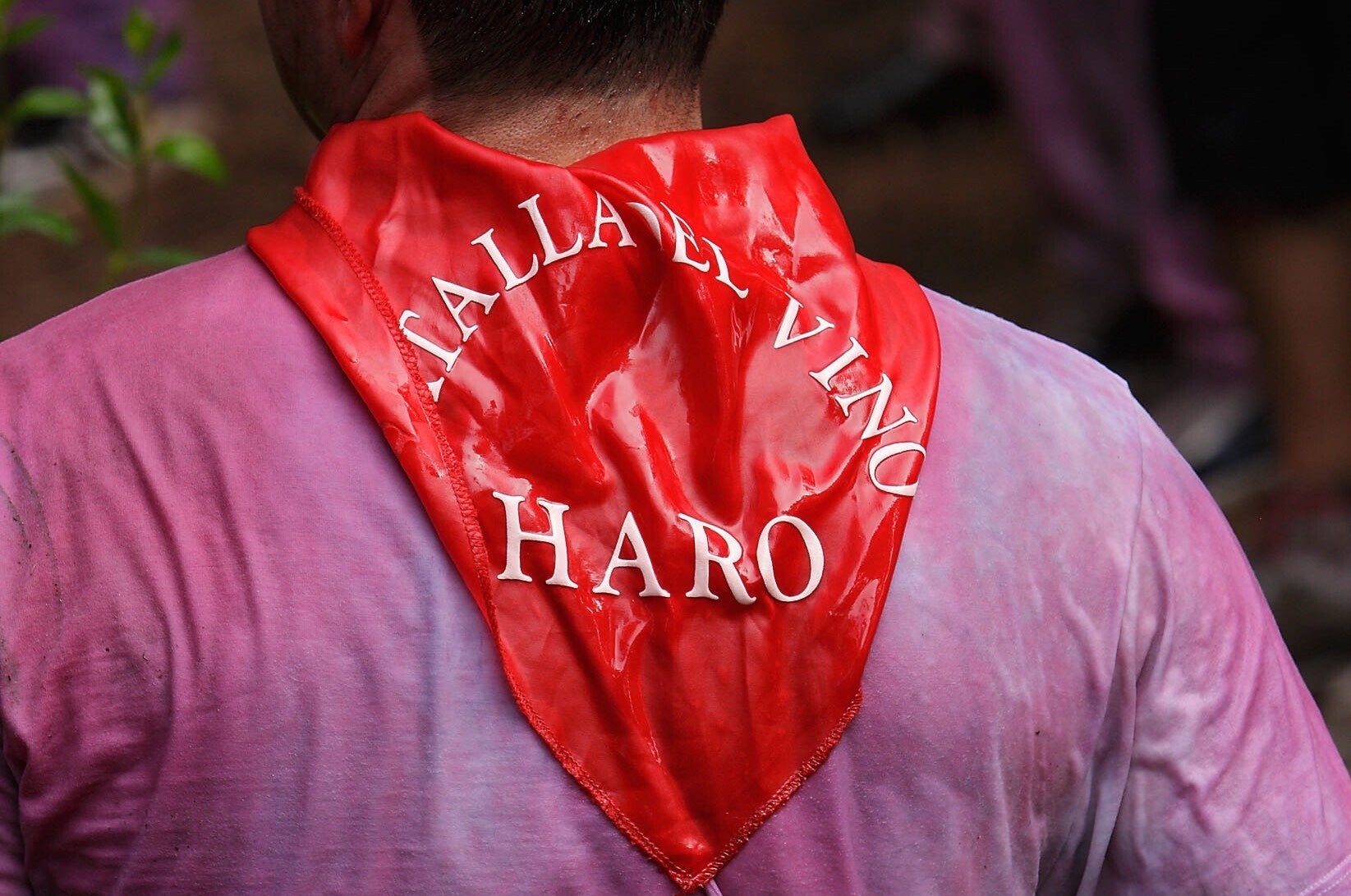 Batalla del Vino