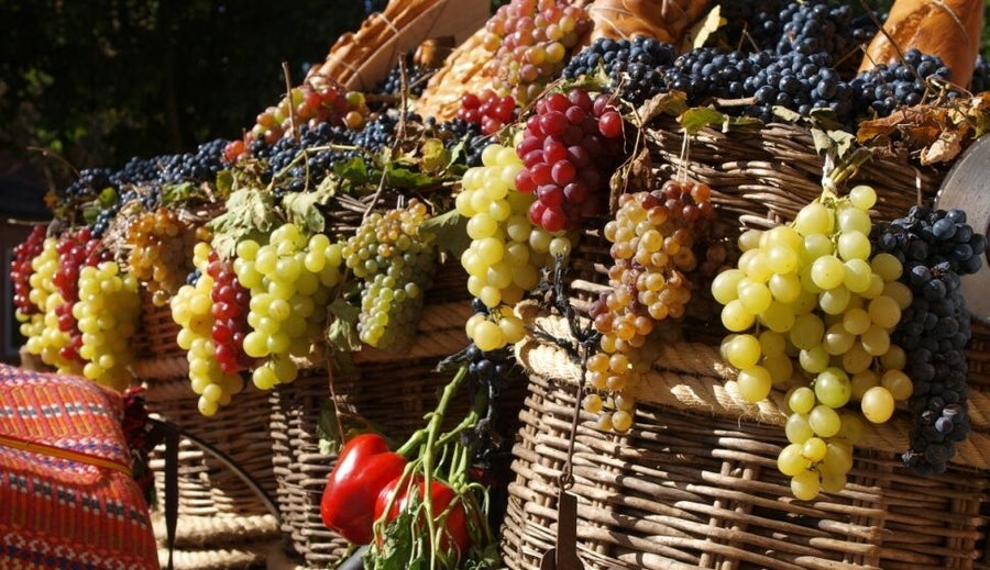 Cestos de uvas de la recogida de la vendimia