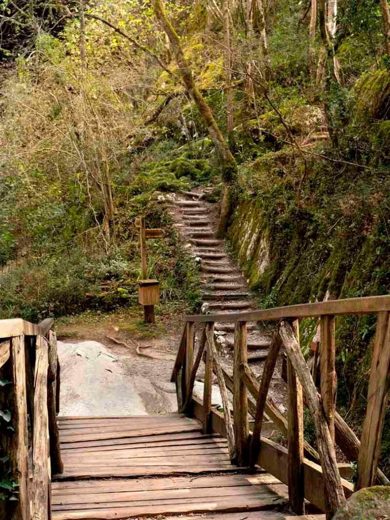 Las Cuevas de Zugarramurdi
