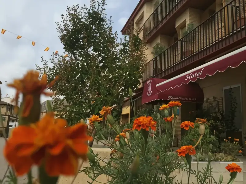 Hotel Castellote ***