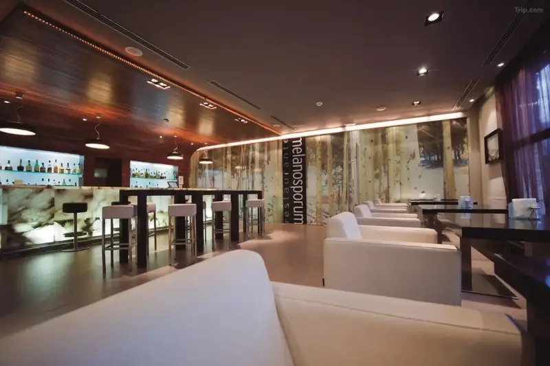 Hotel La Trufa Negra ****