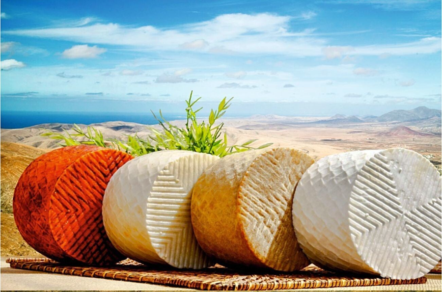 Queso majorero DOP Elaborado con leche de cabra, curado con pimentón, gofio o aceite.