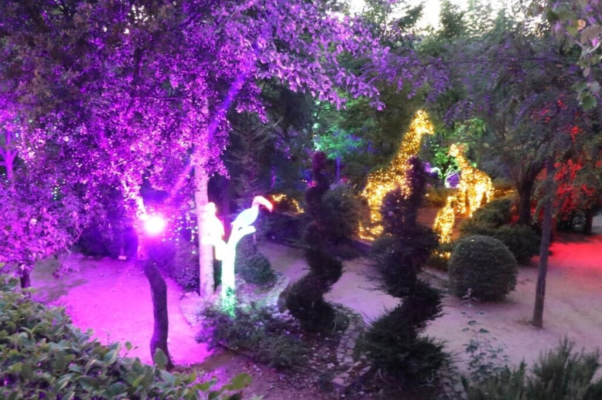 El Bosque Encantado (San Martín de Valdeiglesias, Madrid): Un laberinto de vegetación y luces mágicas