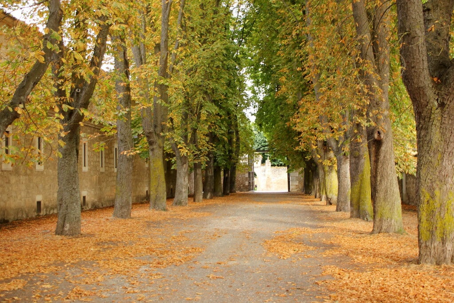 Parque del Parral: naturaleza, tradición y memoria burgalesa