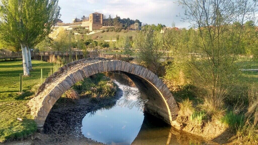 Puente de la Cernadilla, Benavente