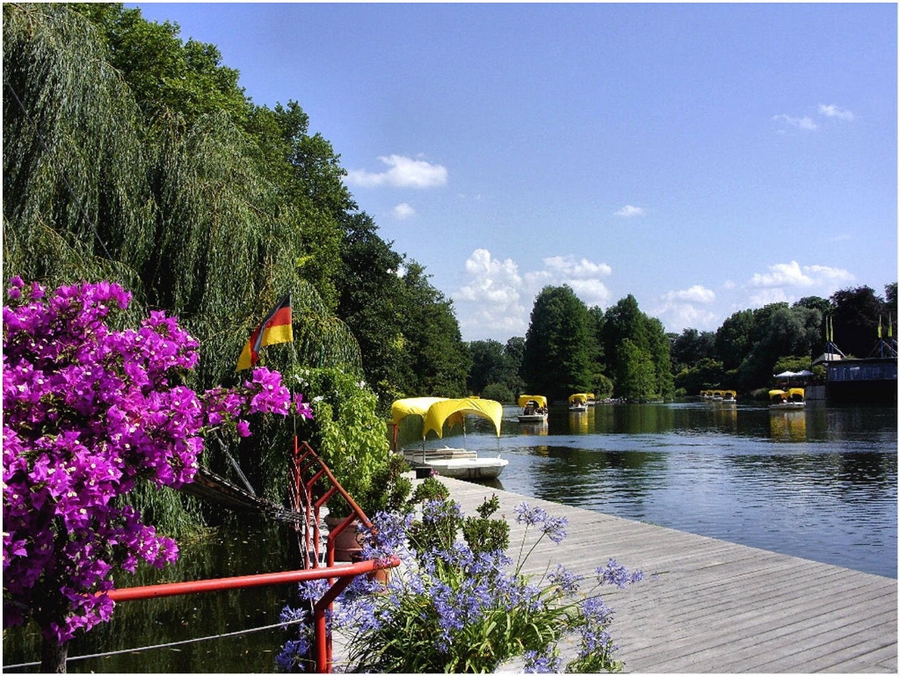 Luisenpark Mannheim: naturaleza, cultura y magia fluvial