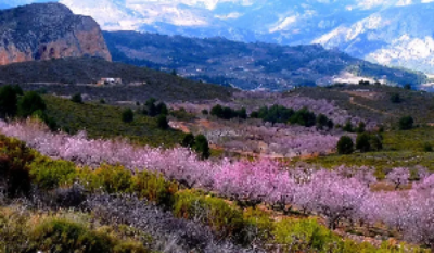 Ruta de La Magdalena- Provenza
