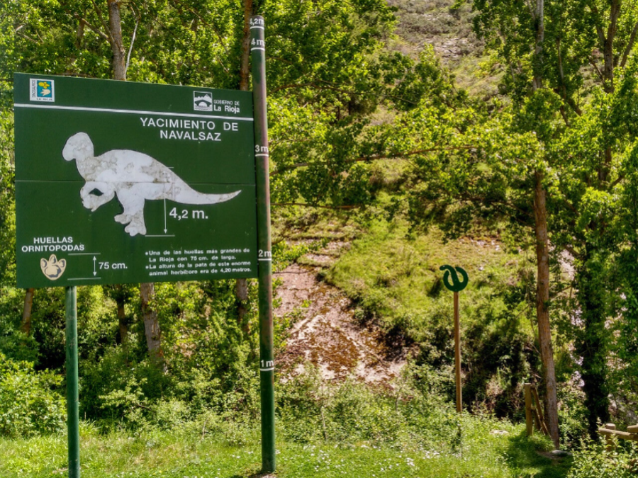 ruta dinosaurios enciso
