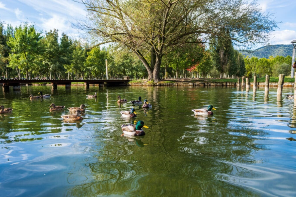  Lago de Banyoles