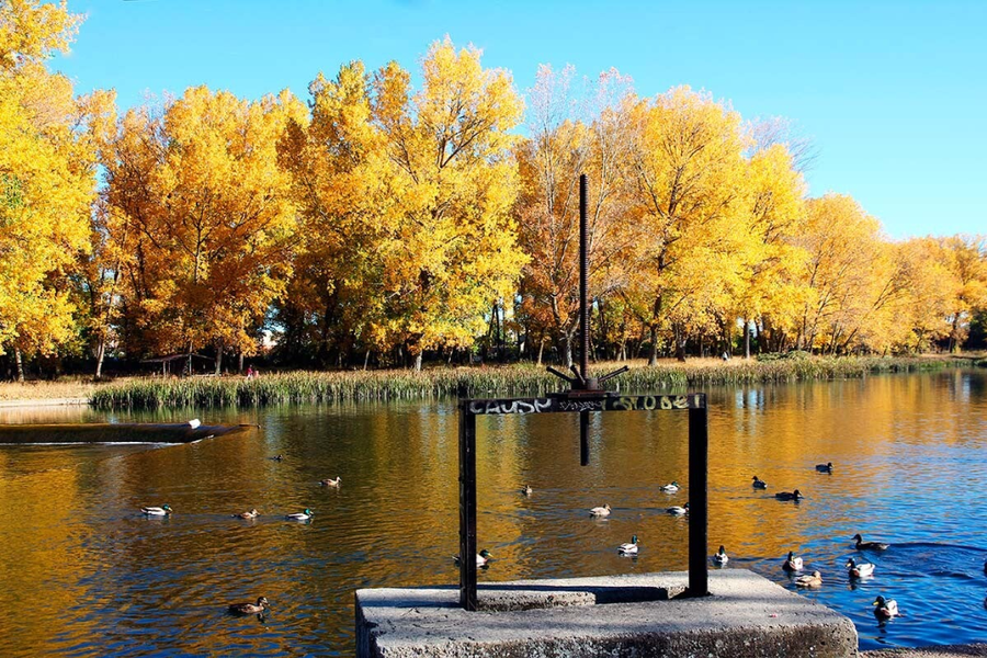 Parque de Fuentes Blancas: naturaleza viva a las puertas de Burgos