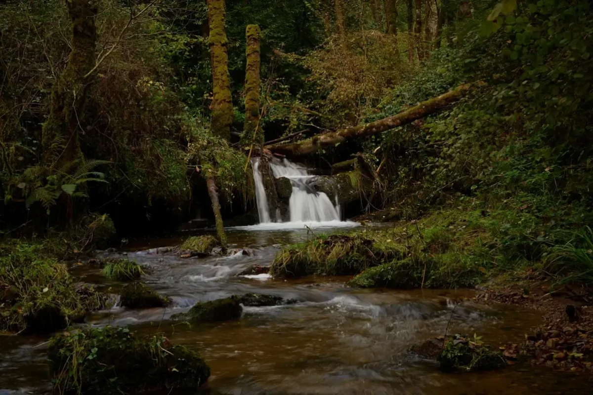  Entorno natural de Cuevas del Agua