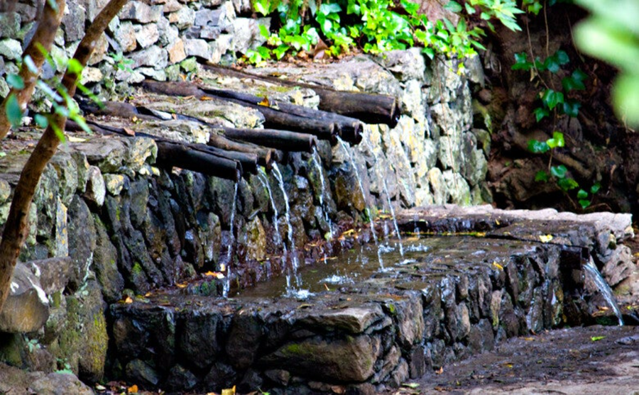 Epina: el bosque que bendice