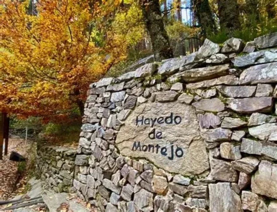 Entrada al Hayedo de Montejo
