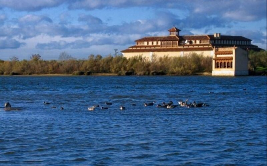 Lagunas de Villafáfila, Benavente