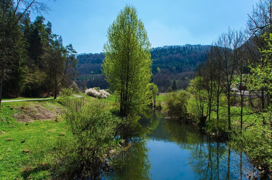 Weg bei Villingendorf – Sendero entre bosques y calma