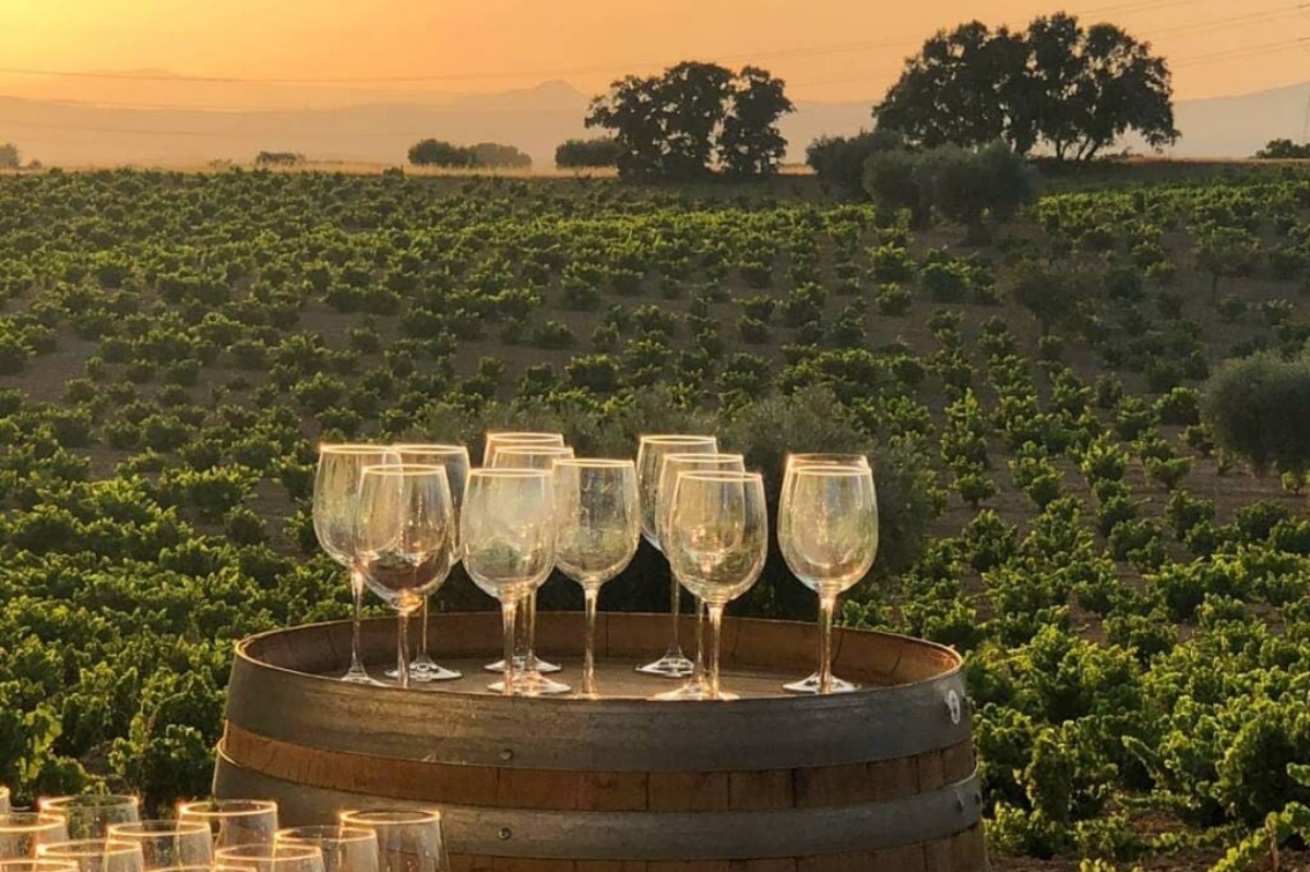 Tour guiado por bodegas de Madrid con cata de vino